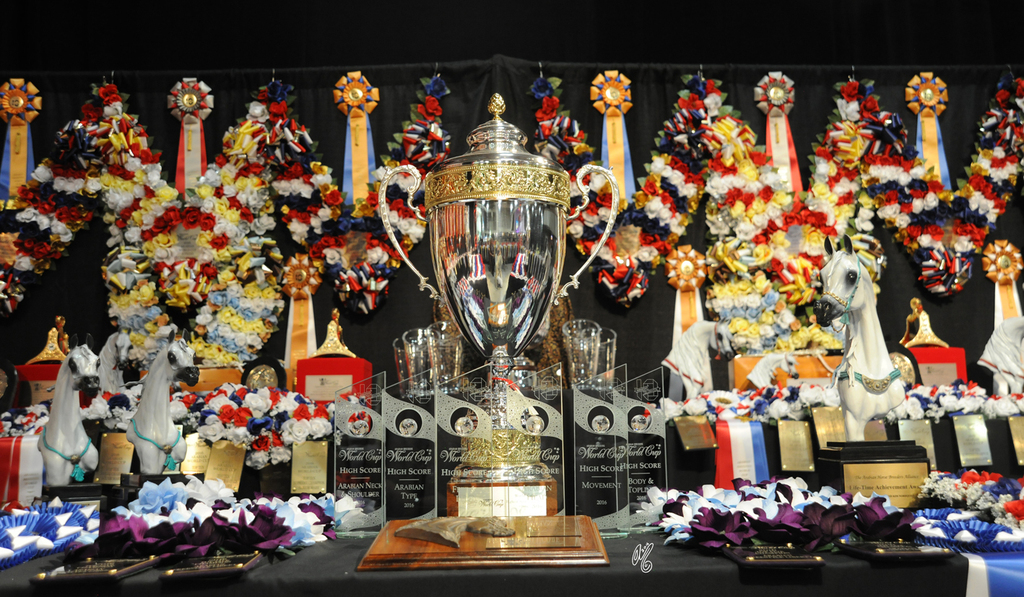 2016 Arabian Breeders World Cup: Las Vegas!