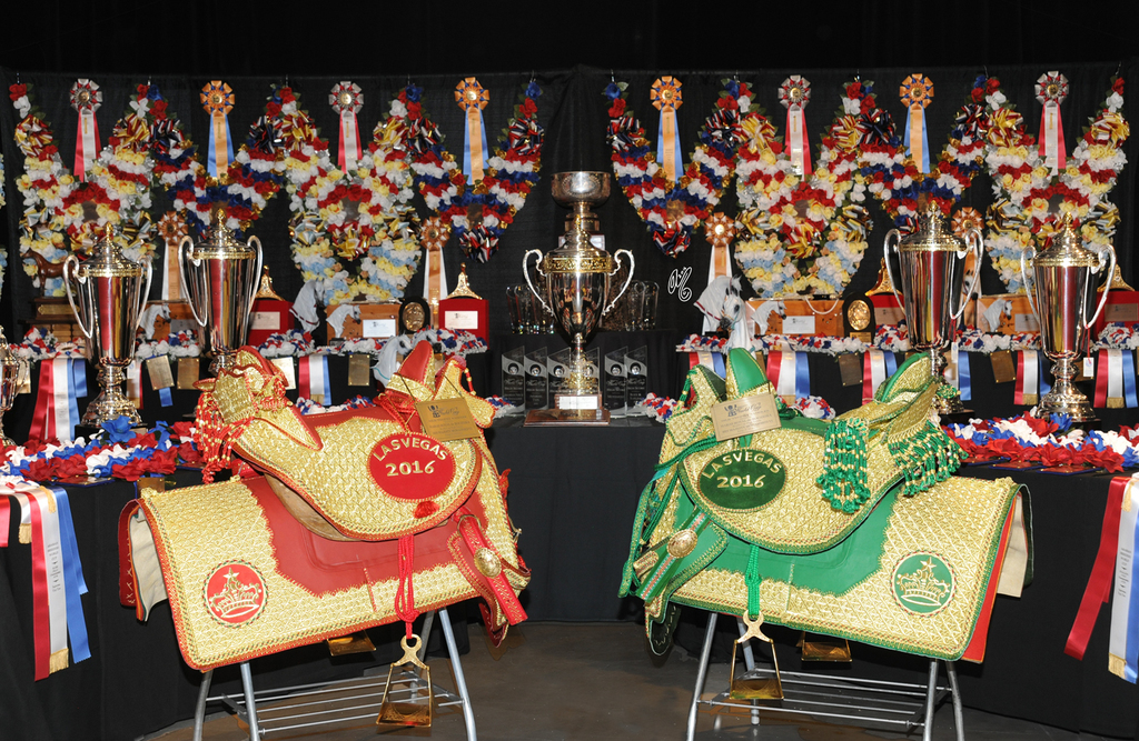 2016 Arabian Breeders World Cup: Las Vegas!