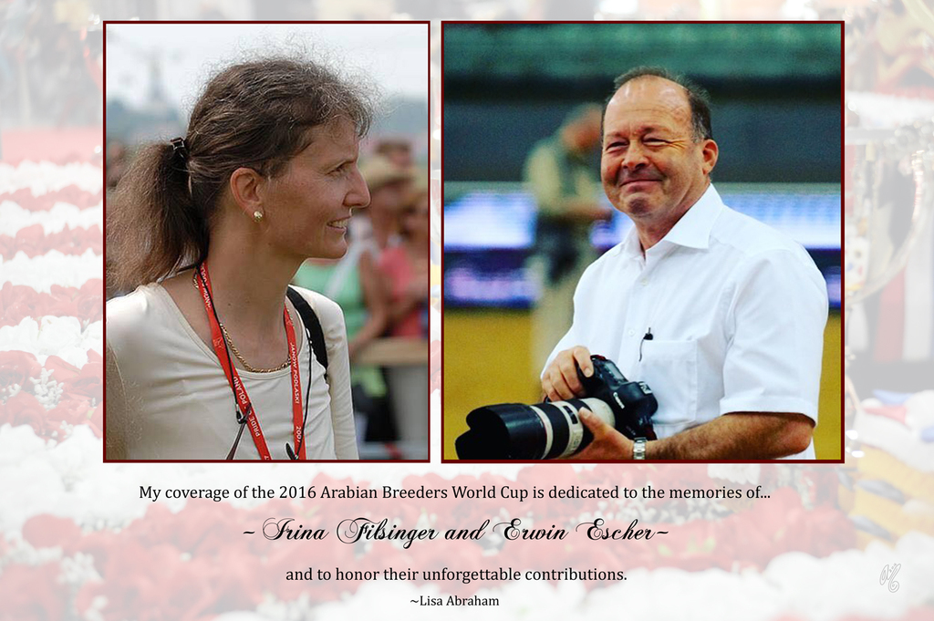 Lisa Abraham: 2016 Arabian Breeders World Cup: Las Vegas! Photo Album