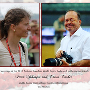 Lisa Abraham: 2016 Arabian Breeders World Cup: Las Vegas! Photo Album