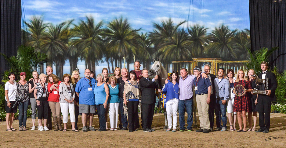 Senior Mare Gold Champion: Makeda DB (Mishaal HP X Jamiil Baarah). 

Photo by Don Stine