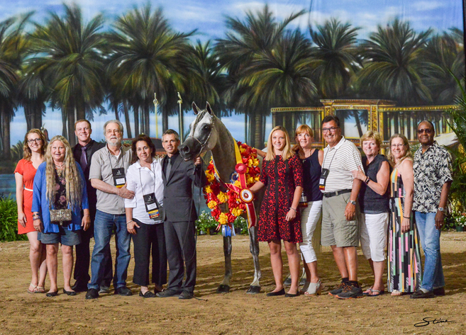 Junior Stallion Silver Champion: Caiiro (Alixir X Good Faith).

Photo by Don Stine