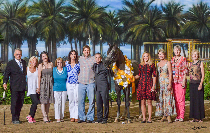 Junior Stallion Bronze Champion: Thee Dominion (Scapa X Thee Desert Rose).

Photo by Don Stine