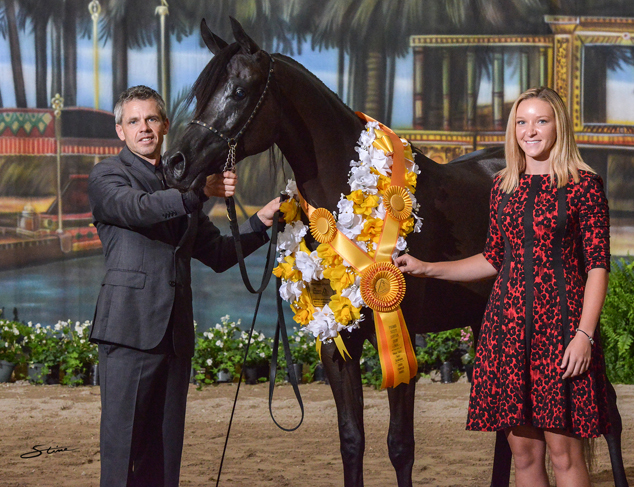 Junior Mare Bronze Champion: Ebonie Starr (Justynn X Amer Baasma).

Photo by Don Stine