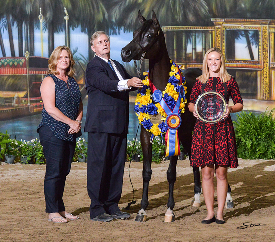 Junior Mare Gold Champion: Daenerys (Burak Ben-Eden EA X Good Faith).

Photo by Don Stine