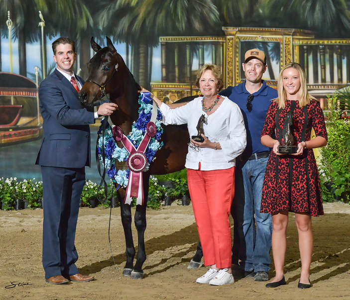 EBC Colt Champion: TF Esfahan (Botswana X EAI Etheena).

Photo by Don Stine