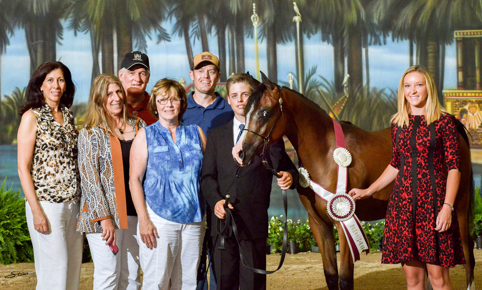 EBC Filly Reserve Champion: Sudan Aria (Etaya Sudan Amir X Al Amirah). 

Photo by Don Stine