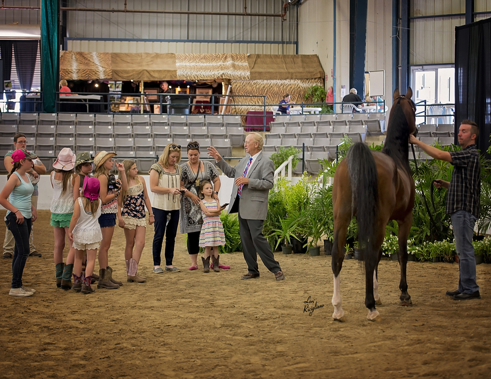 Youth Activities: Photography Clinic with Don Stine. Photo by Lori Ricigliano