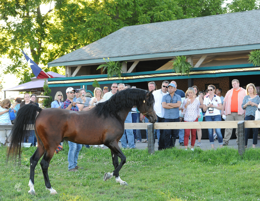 Barn Parties!