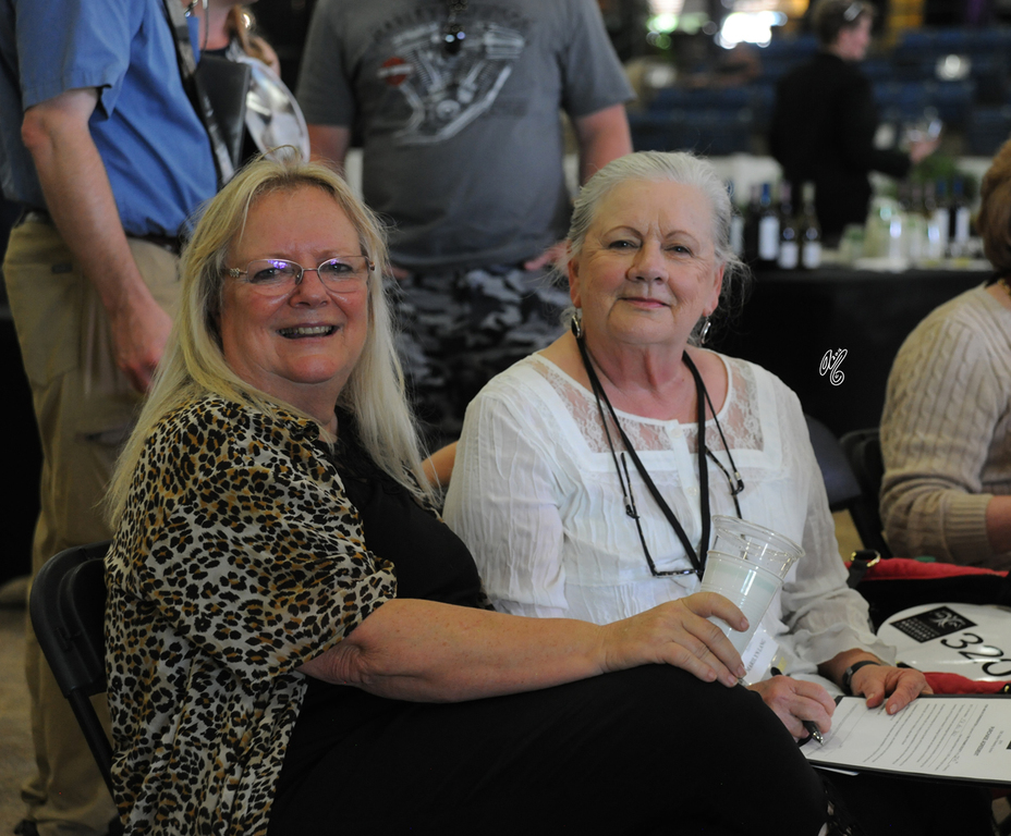 Egyptian Breeders Challenge: Live Stallion Auction