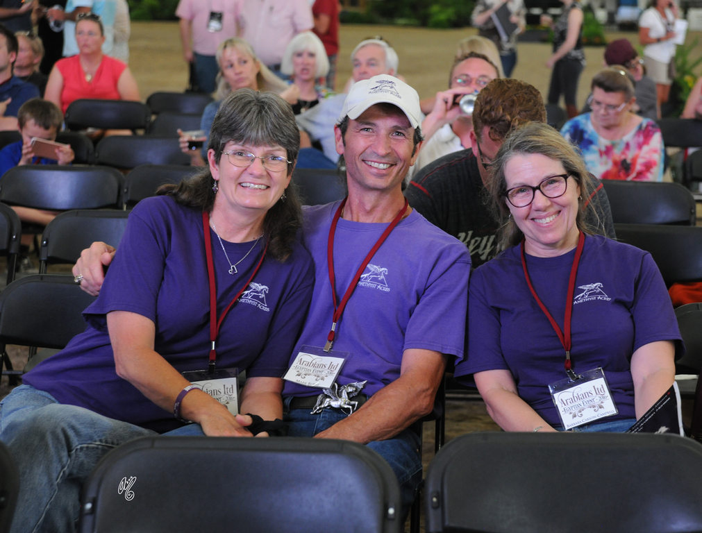 Egyptian Breeders Challenge: Live Stallion Auction