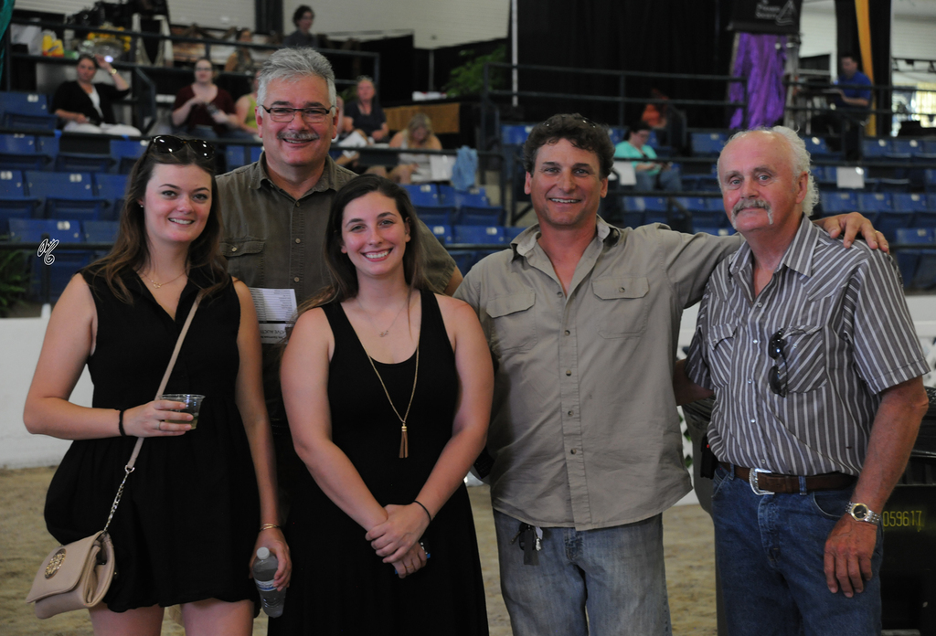 Egyptian Breeders Challenge: Live Stallion Auction