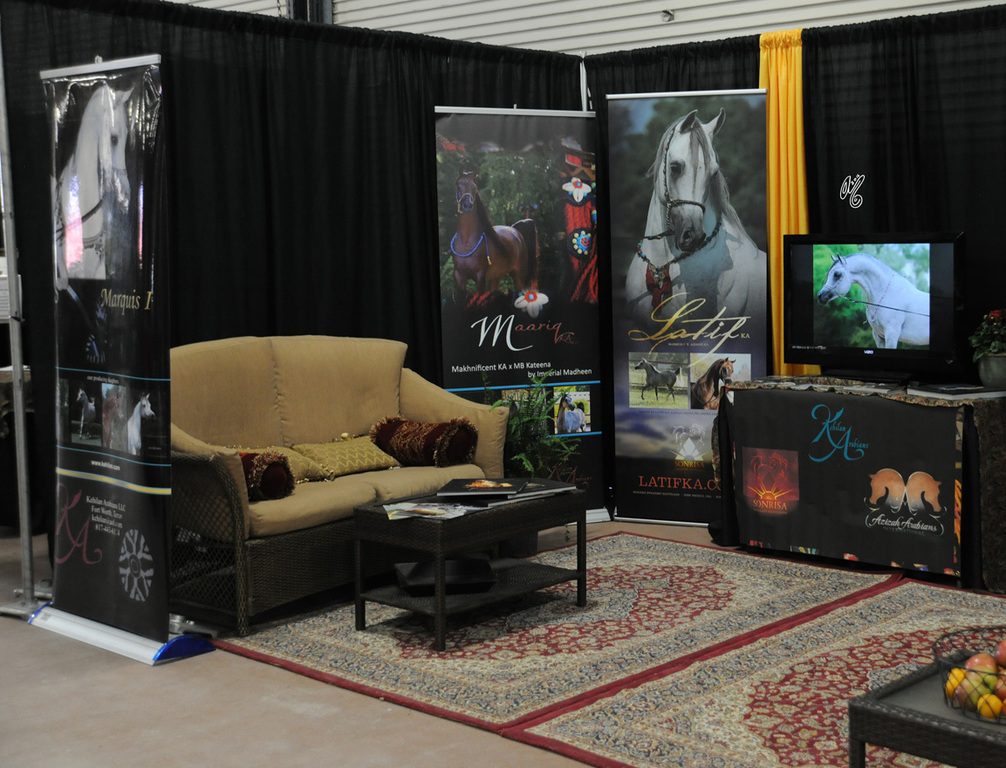 The concourse...Kehilan Arabians