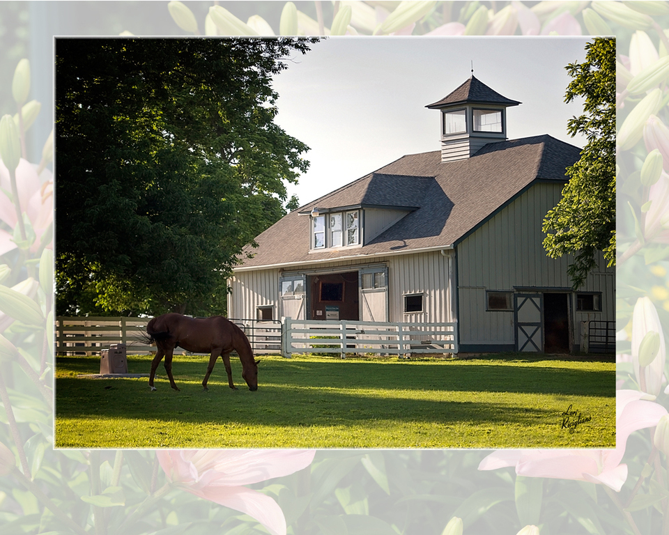 The 2016 US Egyptian Event 