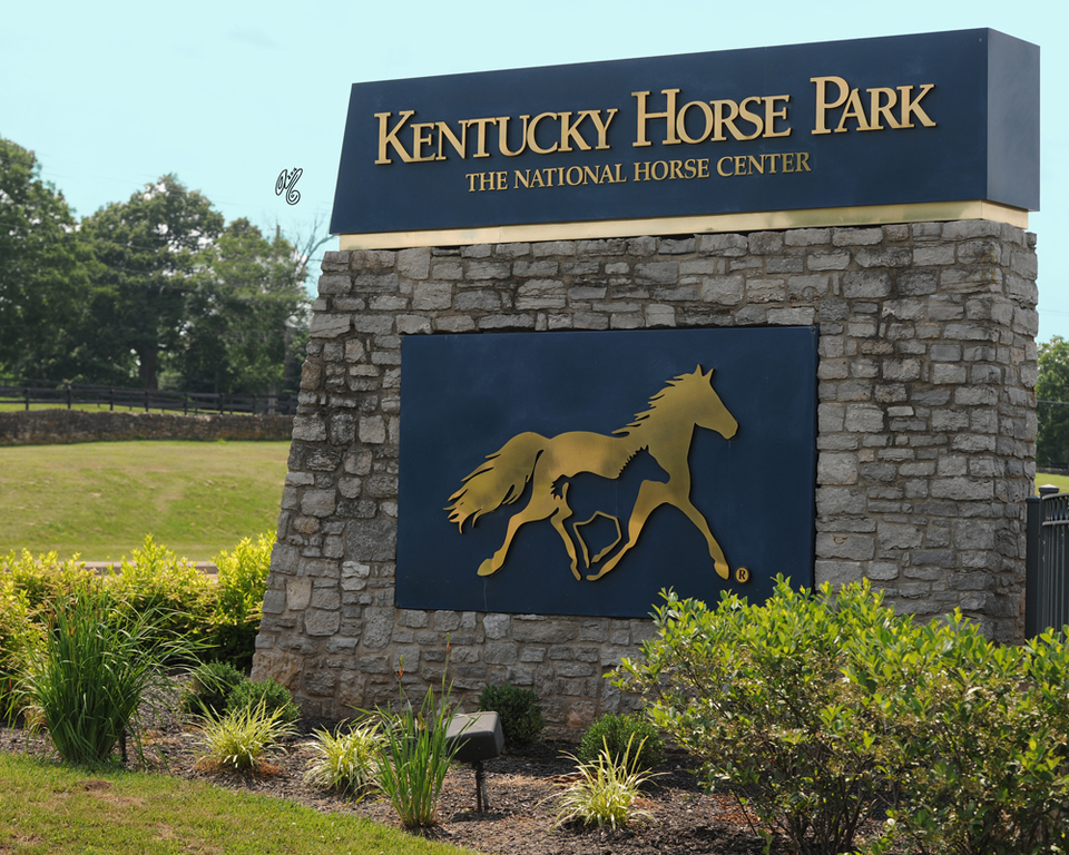 The 2016 US Egyptian Event 