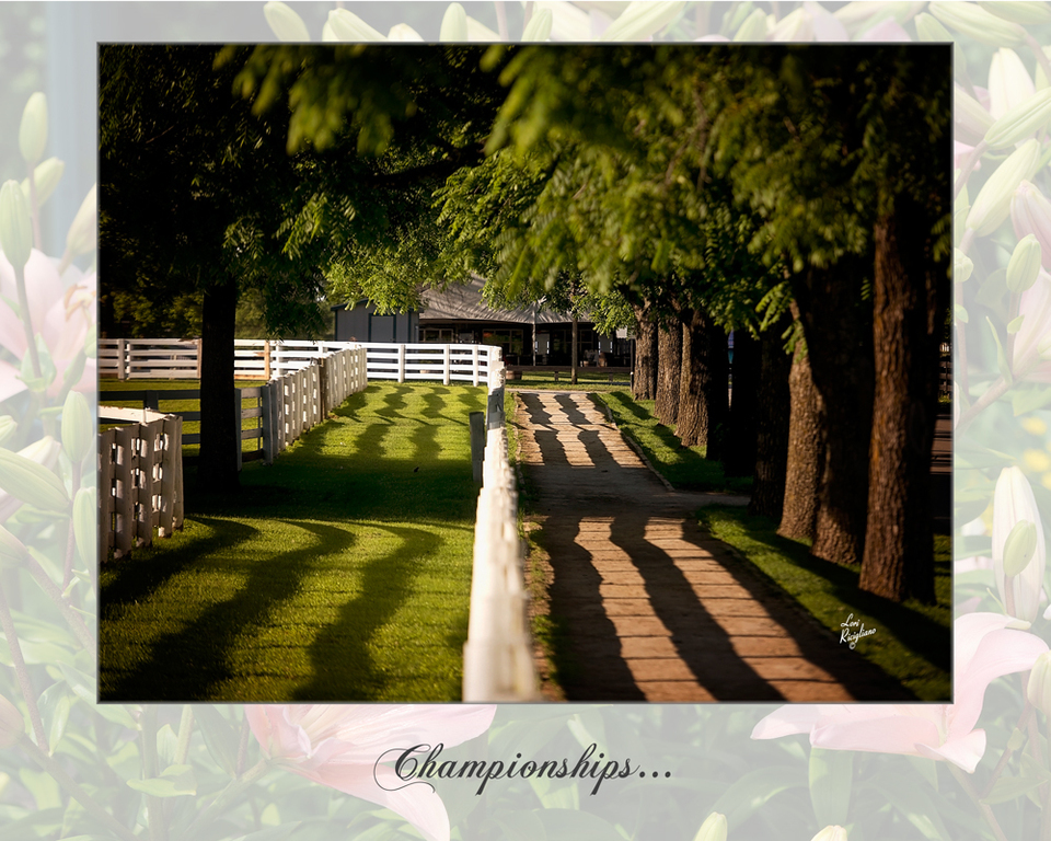 The 2016 US Egyptian Event 