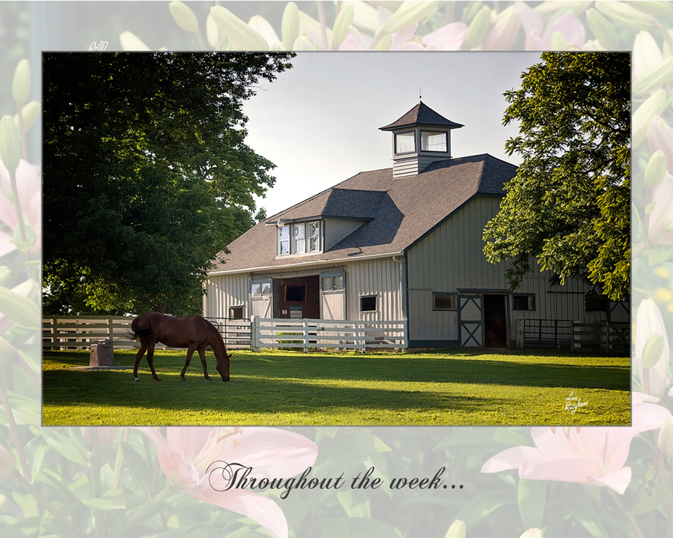 The 2016 US Egyptian Event 