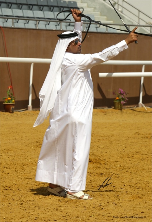 Late 1990's...Al Shaqab archival photo furnished by Judith Forbis