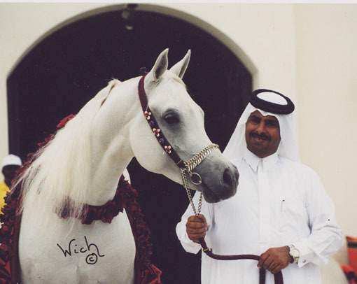 Al Adeed Al Shaqab...photo by Judith Wich