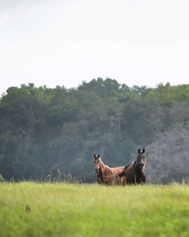 When Little Liza Fame & Shahteyna Were Reunited