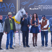 Senior Stallion Silver Champion: Shanghai EA (WH Justice X Salymah) 