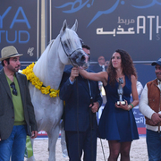 Senior Stallion Silver Champion: Shanghai EA (WH Justice X Salymah) 