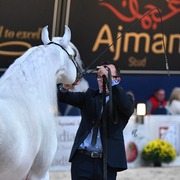 Senior Stallion Bronze Champion: AJA Angelo (WH Justice X AJA Aaisha)