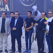 Senior Stallion Bronze Champion: AJA Angelo (WH Justice X AJA Aaisha)