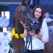 Senior Mare Silver Champion: Donna Molta Bella SRA (DA Valentino X RD Fabreanna)