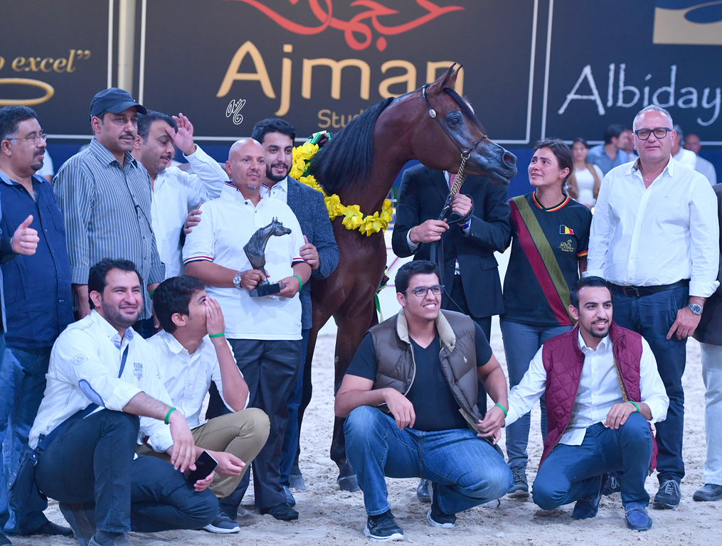 Senior Mare Bronze Champion: Ghazalah Alaalya (Monticeto LN X JMF Jezell)