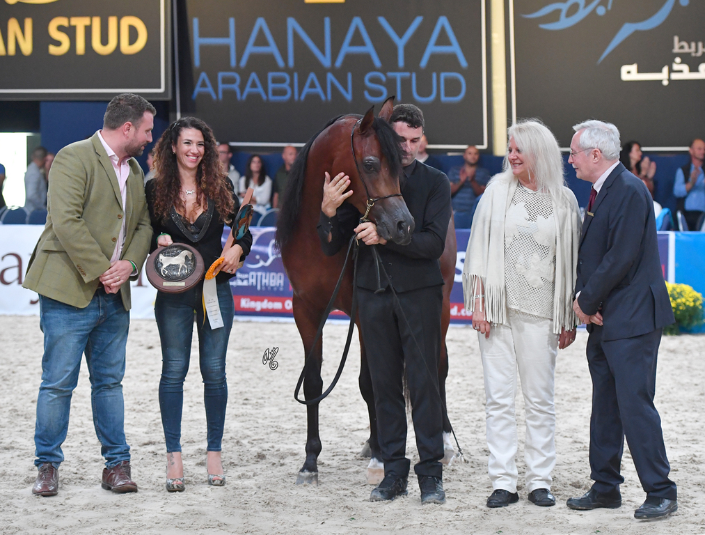 Colt Gold Champion: Gallardo J (Emerald J X Gomera J)