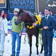 Colt Gold Champion: Gallardo J (Emerald J X Gomera J)