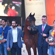 Colt Silver Champion: Luigi (Kanz Albidayer X Lolita)