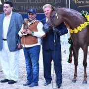 Colt Bronze Champion: Falah Al Shaqab (Marwan Al Shaqab X Joseph Just Emotion)