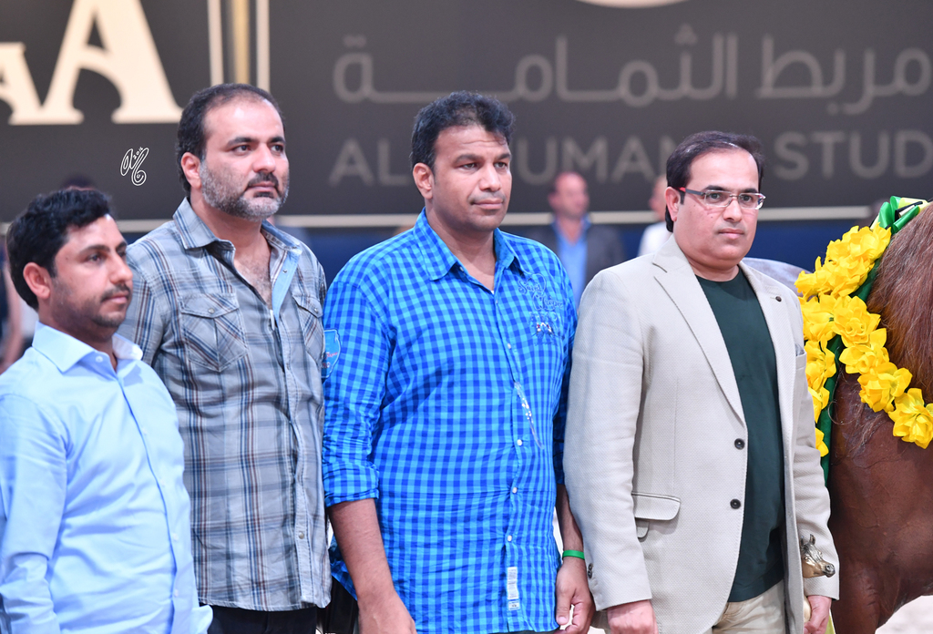 Filly Gold Champion: Elle Flamenca (Ajman Moniscione X Allamara MA)