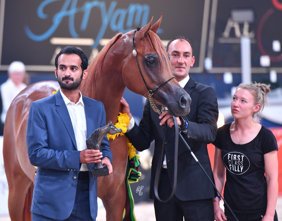 Filly Bronze Champion: Bint Seduction HBV (WH Justice X Seduction HBV)