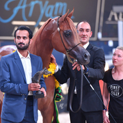 Filly Bronze Champion: Bint Seduction HBV (WH Justice X Seduction HBV)