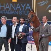 Filly Bronze Champion: Bint Seduction HBV (WH Justice X Seduction HBV)