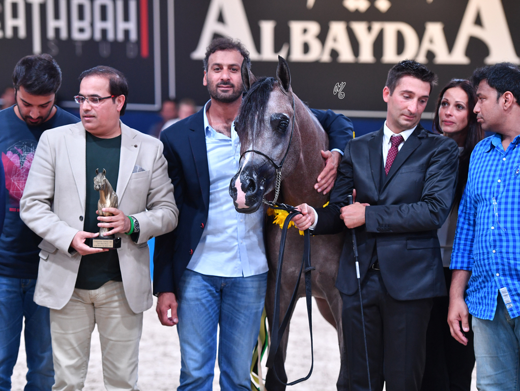 Yearling Colt Gold Champion: D Seraj (Fa El Rasheem X Ladi Veronika)