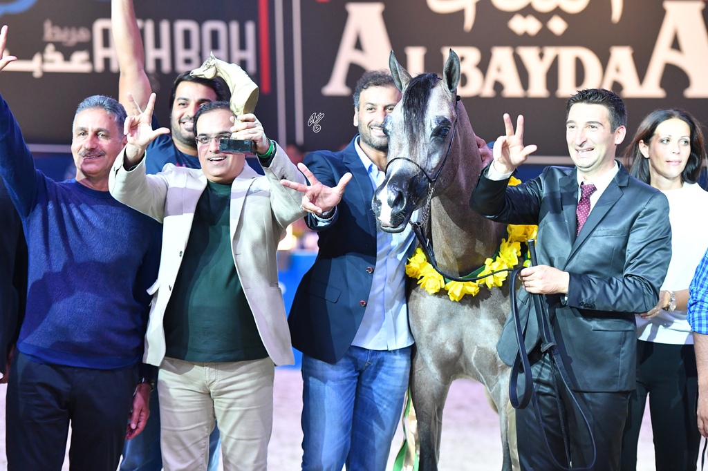 Yearling Colt Gold Champion: D Seraj (Fa El Rasheem X Ladi Veronika)