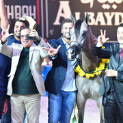 Yearling Colt Gold Champion: D Seraj (Fa El Rasheem X Ladi Veronika)