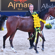 Yearling Colt Bronze Champion: Imhotep Rach (RHR Marcedes X Isis Rach)