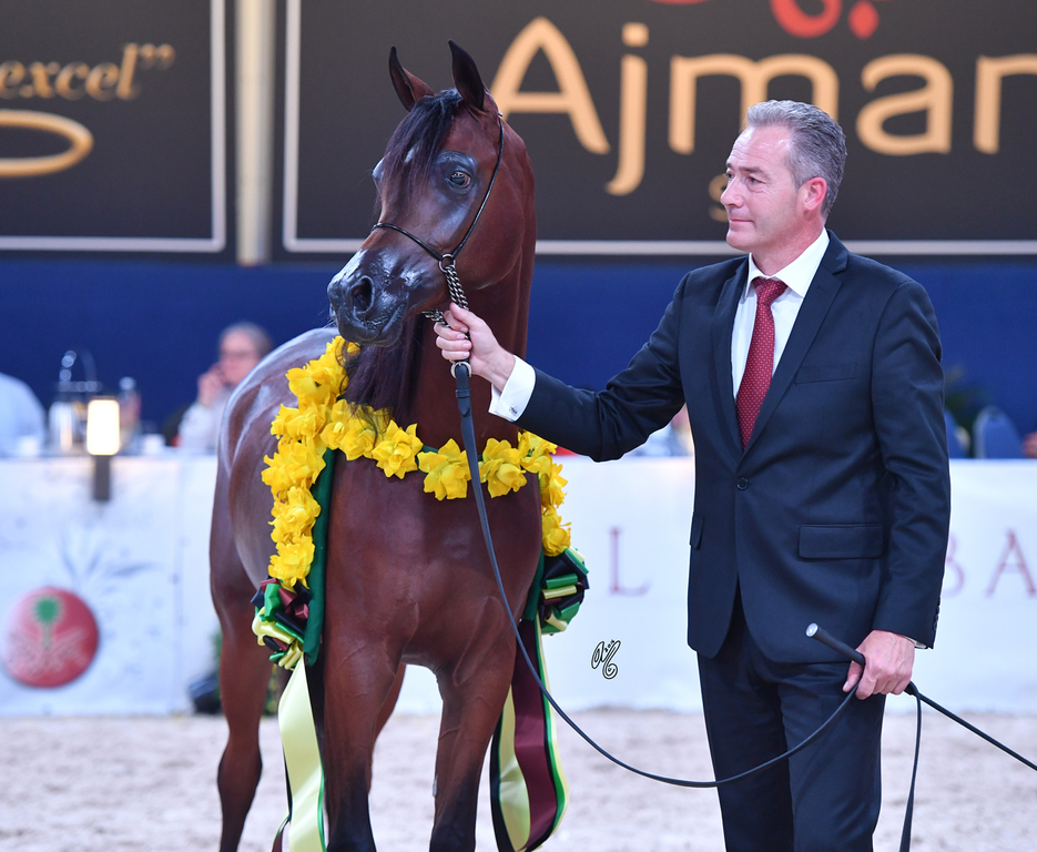 Yearling Colt Bronze Champion: Imhotep Rach (RHR Marcedes X Isis Rach)