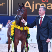 Yearling Colt Bronze Champion: Imhotep Rach (RHR Marcedes X Isis Rach)