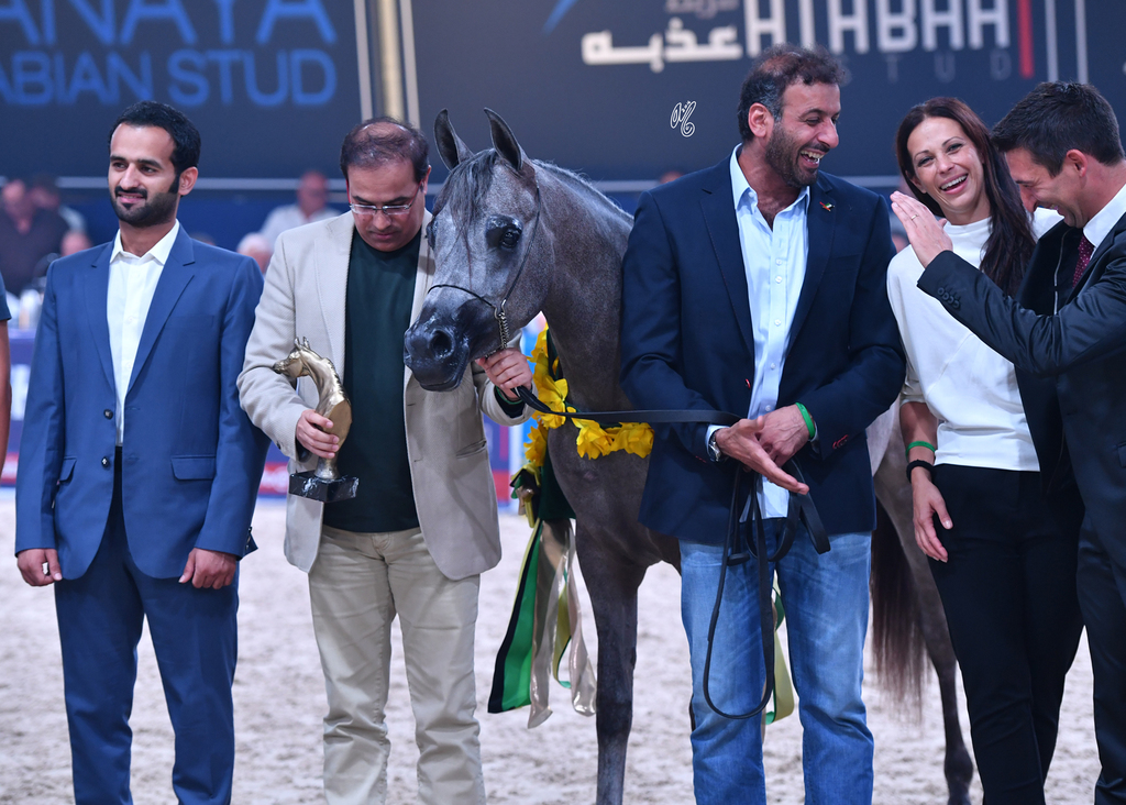Yearling Filly Gold Champion: D Ajayeb (RFI Farid X Ladi Veronika)