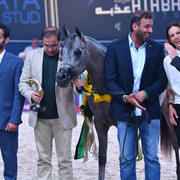 Yearling Filly Gold Champion: D Ajayeb (RFI Farid X Ladi Veronika)