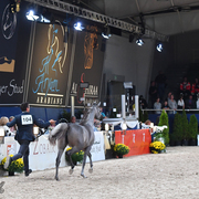 Yearling Filly Gold Champion: D Ajayeb (RFI Farid X Ladi Veronika)