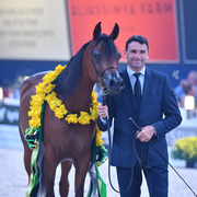 Yearling Filly Silver Champion: HDM Maria Apal (RFI Farid X WW Imania Apal)