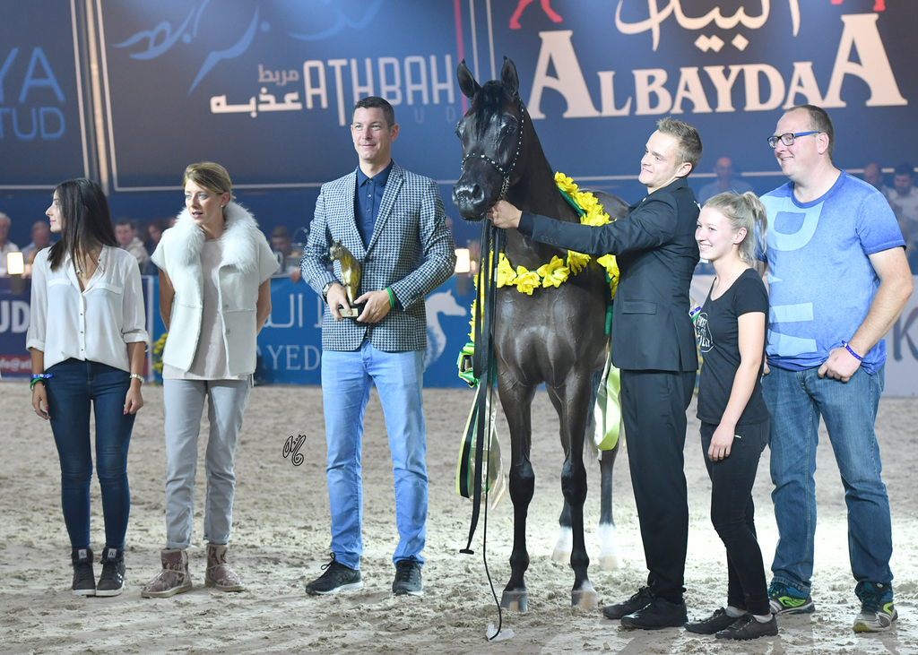 Gelding Gold Champion: Pistorius (EKS Alihandro X ZT Ludjteyna)