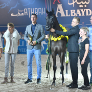 Gelding Gold Champion: Pistorius (EKS Alihandro X ZT Ludjteyna)